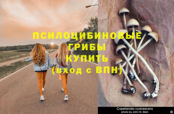 винт Бородино